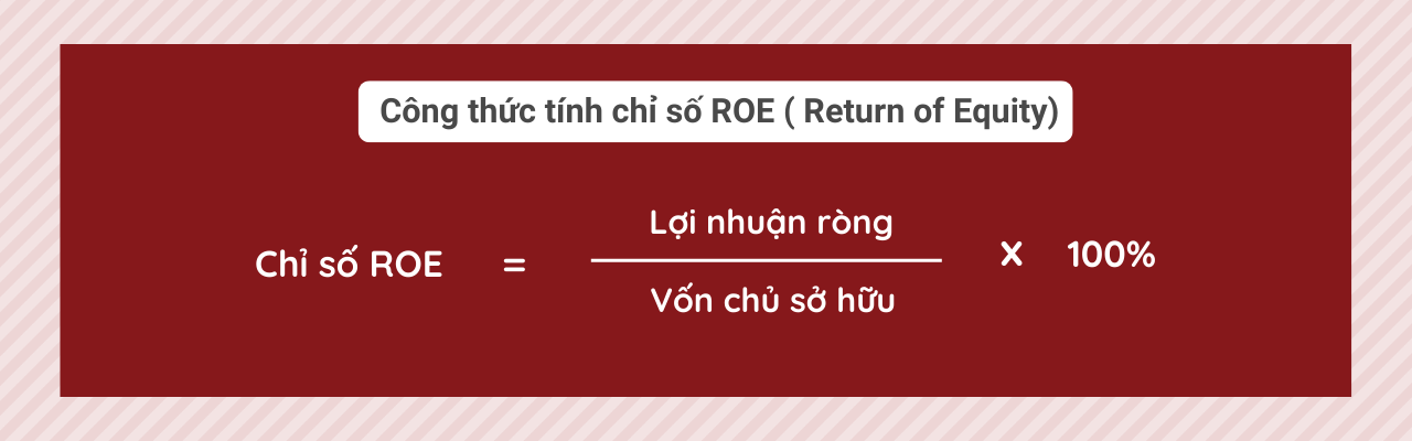 ROE (Return On Equity)